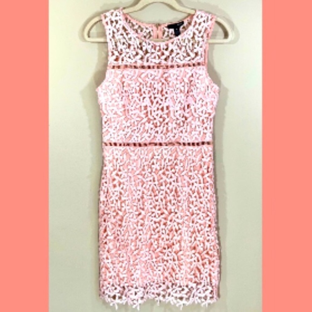 Pink Floral Knit Lace Dress
